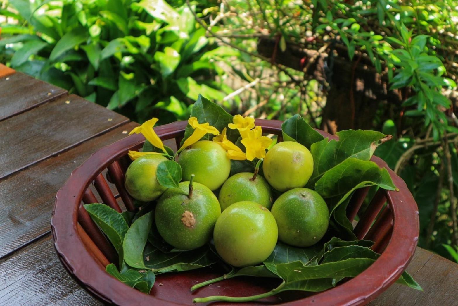 Bed and Breakfast Hillhouse - Koh Yao Noi Екстер'єр фото